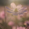 6956CE56-457F-4F6A-9B45-5D35E4ED1496