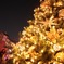 クリスマスツリー