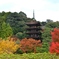 紅葉と瑠璃光寺五重塔