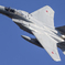 岐阜基地航空祭2019　F-15J