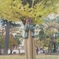 F9B8332C-5FBF-483A-80B7-D739B1996786