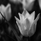 K7__0308