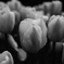 K7__0435-2