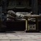 悟り