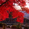 茅野市長円寺の紅葉から 7