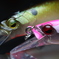 Minnows 