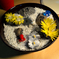 lithops