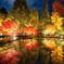 月夜の紅葉狩り②