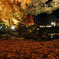 夜紅葉２