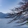 湖畔の紅葉　残り少ないけど、きれい
