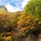 吹き割りの滝の紅葉