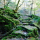 三本杭の登山道