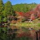 水面に閉じ込めた紅葉