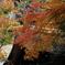 古都鎌倉の紅葉