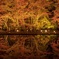 逆さ紅葉