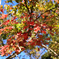 D7K_2043R