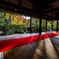 妙心寺