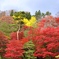 天然グラデーション