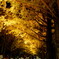 A5542A4B-2575-46B0-92DB-3127E8414B11