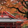 金堂華王殿@那谷寺