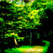 path