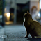 夜の待ち合わせ？