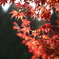 2EB0AB05-AC71-4A54-85F0-1DF3ED3278AC