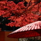 28EBE09B-7A14-4E0E-B185-863636564EA8
