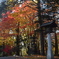 神社