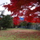 永源寺ダム　紅葉3