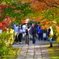 紅葉の輪