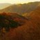 燃える北信の山々