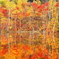 まいめの池の紅葉