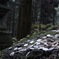 上色見熊野座神社