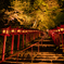 夜　貴船神社もみじ灯篭