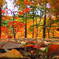 DSCN4980