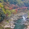 シュポ〜っと、紅葉の中をトロッコで