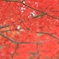 20191117_235029