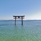 白鬚神社
