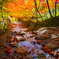 紅葉のトンネル