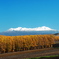 From autumn to winter