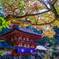 丹生都比売神社