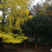 奈良公園
