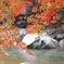 川と紅葉のコラボ