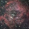光害地で撮る天体―薔薇星雲