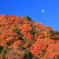月と赤い山