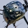 明野基地航空際 2019年 11月3日