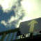 to the sky
