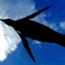 空へ