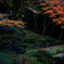 雷山千如寺
